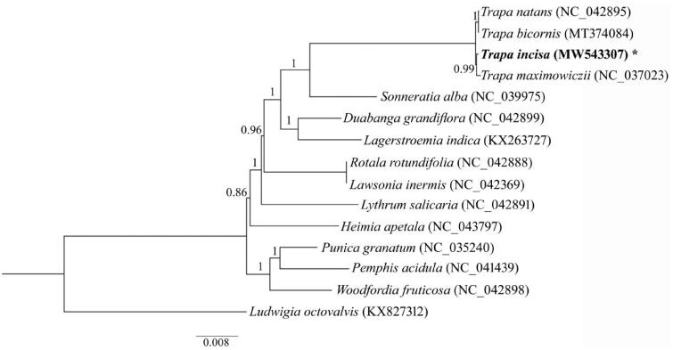 Figure 1.