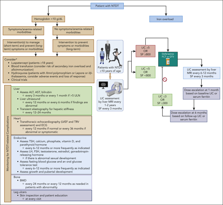 Figure 4.