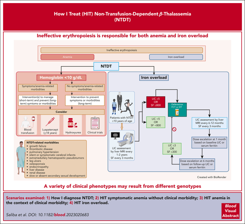 graphic file with name BLOOD_BLD-2023-020683-ga1.jpg