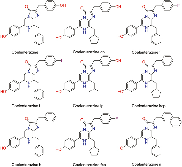 Fig. 3