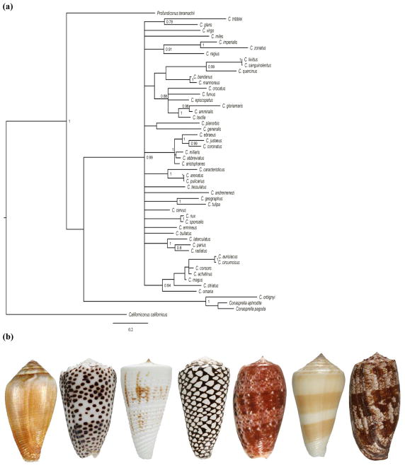 Fig. 7