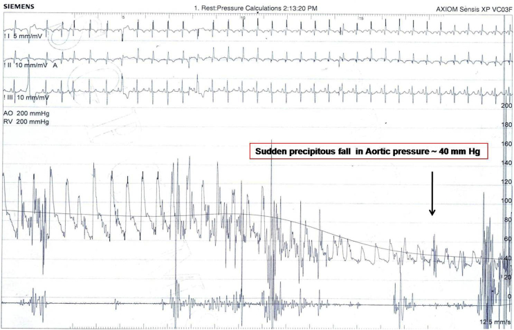 Fig. 2