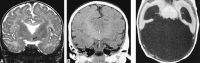 <sc>fig</sc> 2.