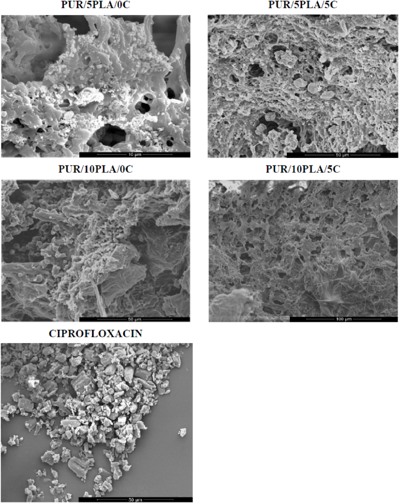 Fig. 11