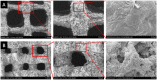 Fig. 9