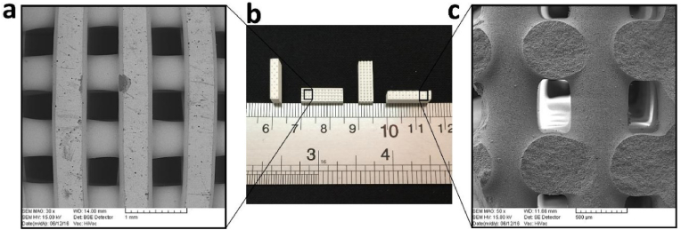 Fig. 8