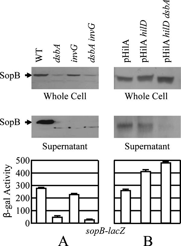 FIG. 8.