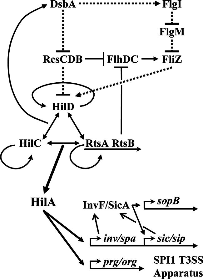 FIG. 1.