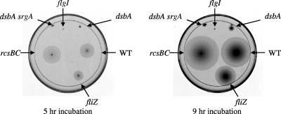 FIG. 5.