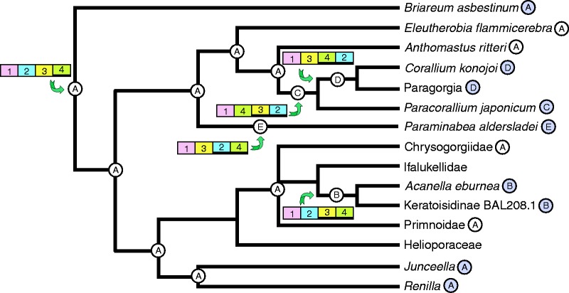 Fig. 4.—