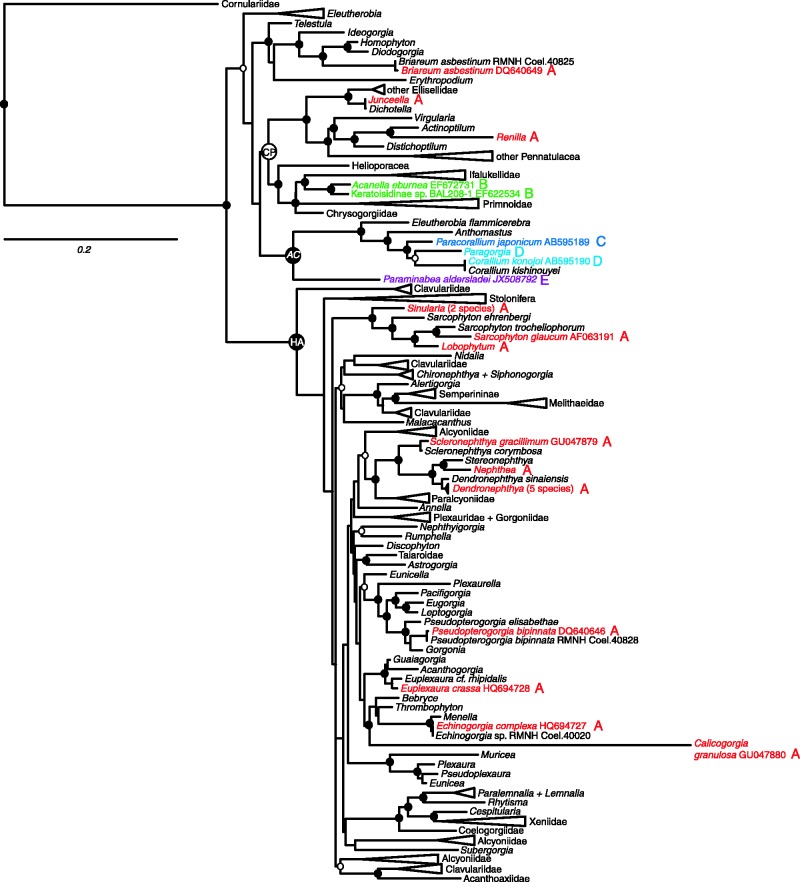 Fig. 3.—