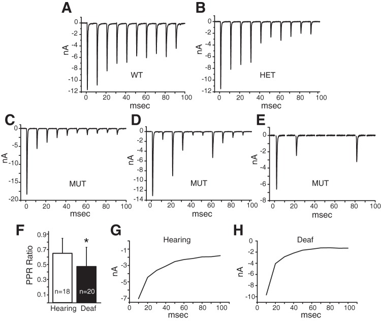 Fig. 12.