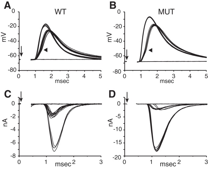 Fig. 9.