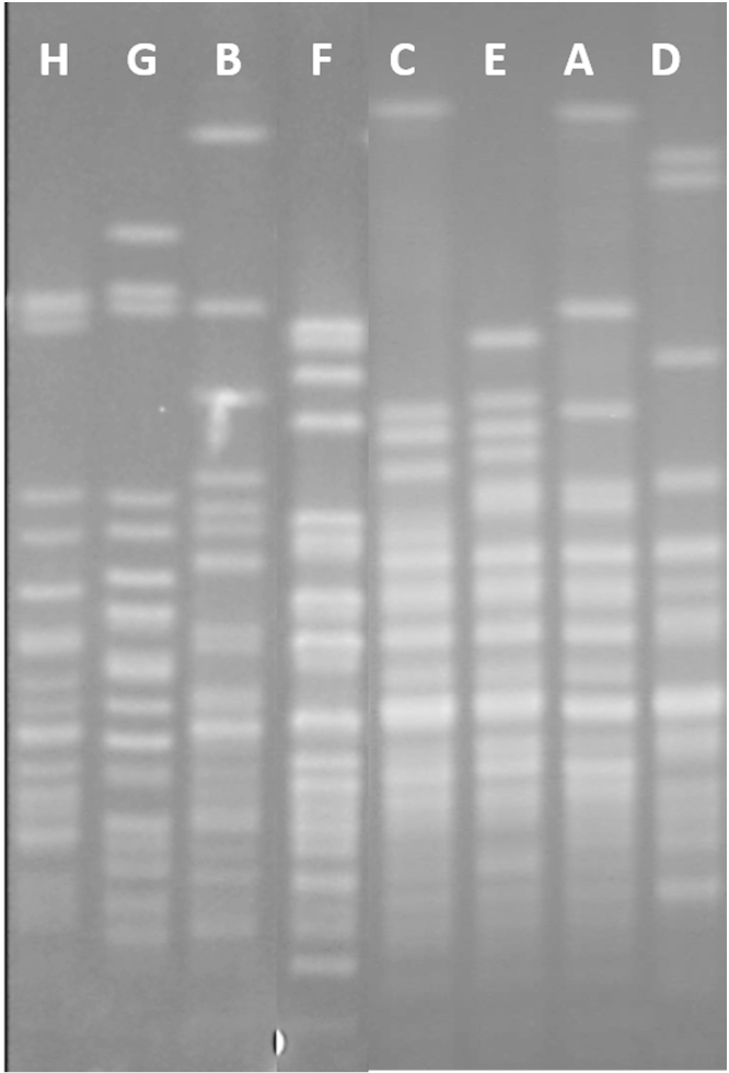 Supplementary Fig. I