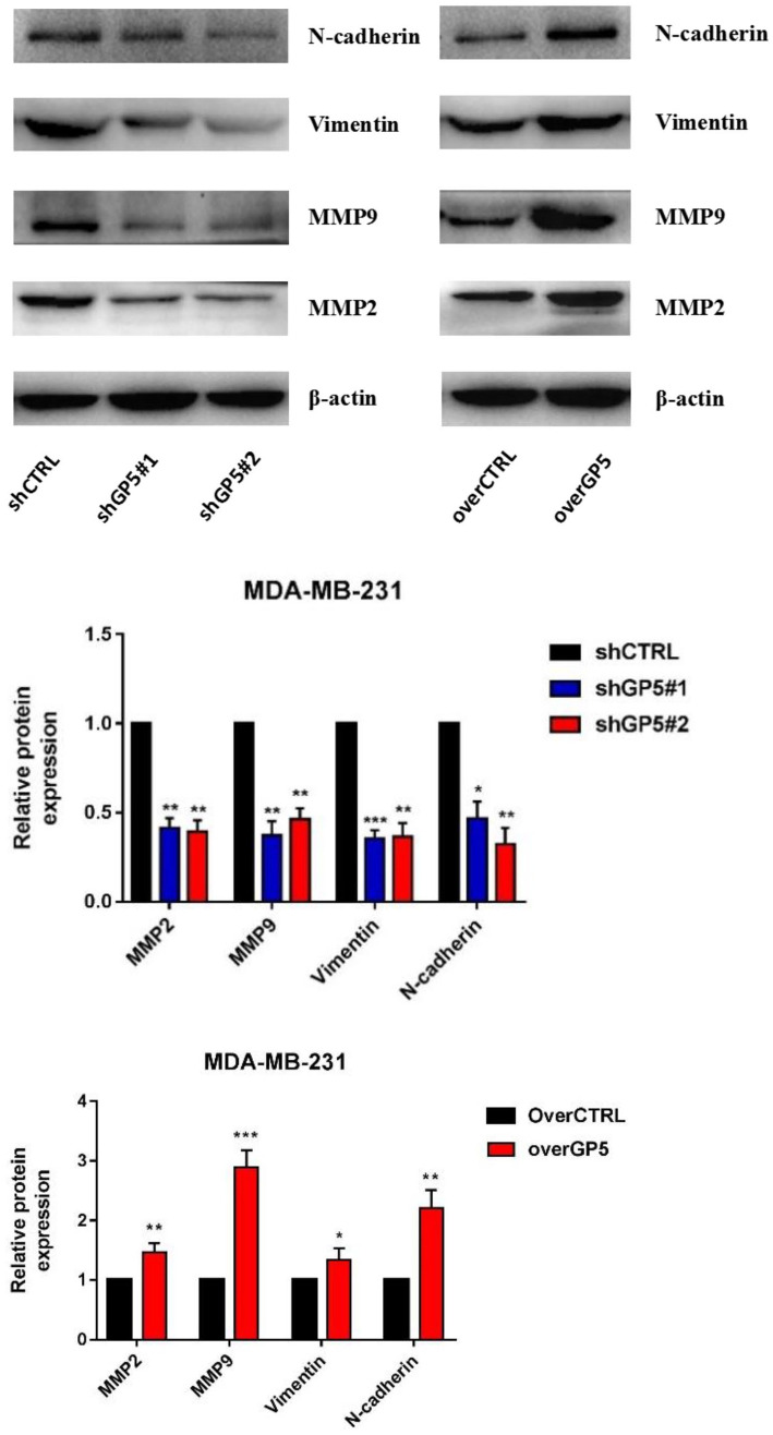 Figure 13.