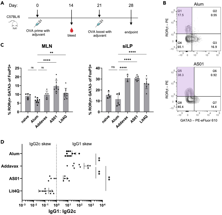 Figure 4