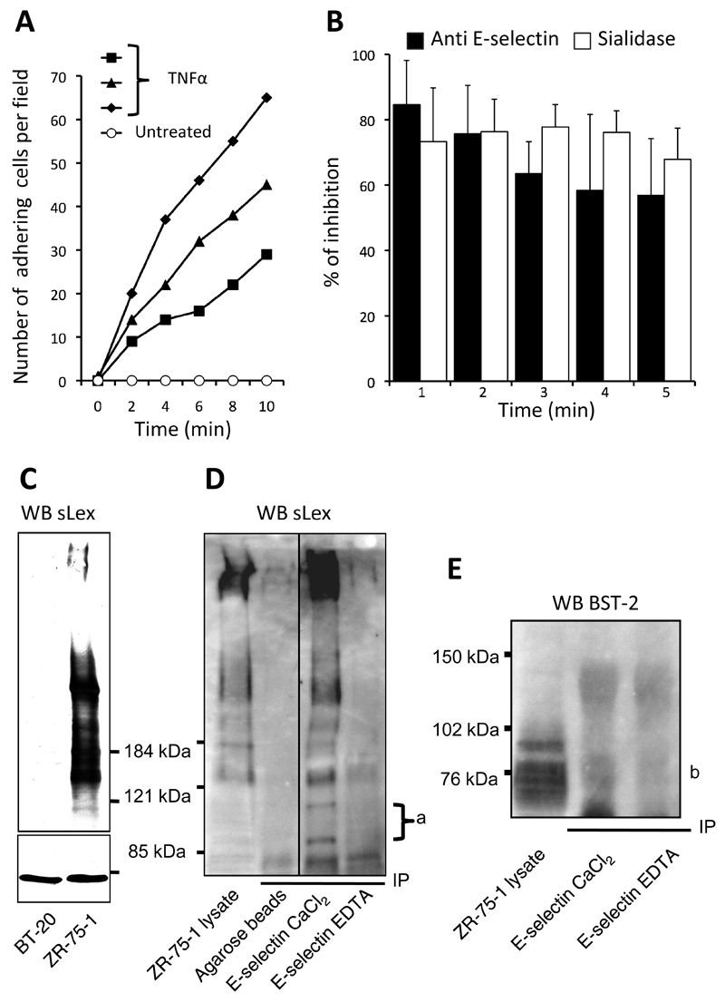 Figure 5: