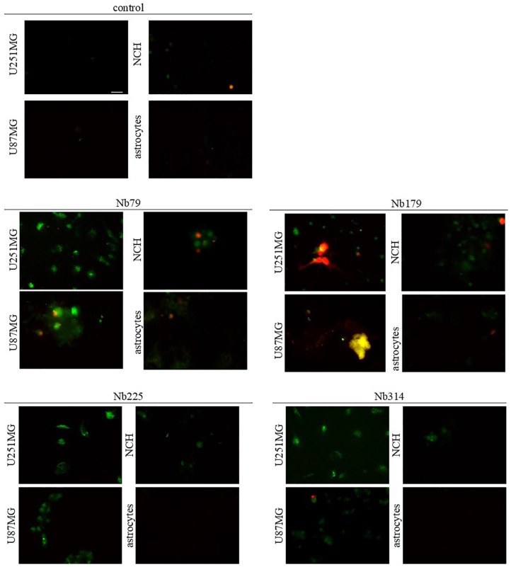 Figure 10.