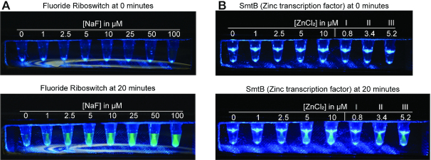 Figure 6.