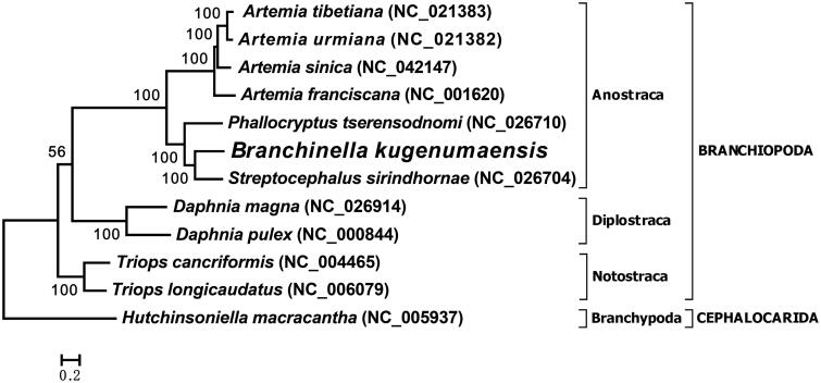 Figure 1.