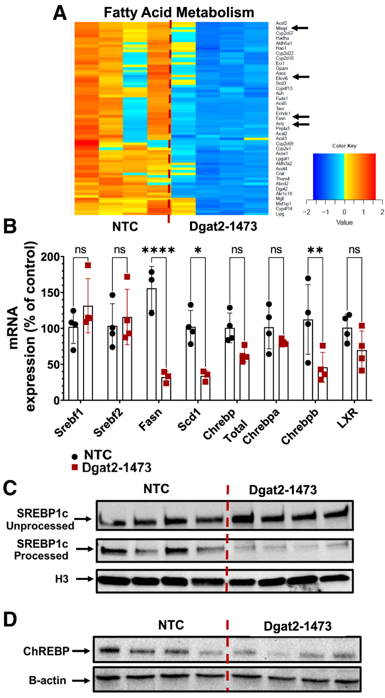 Figure 6