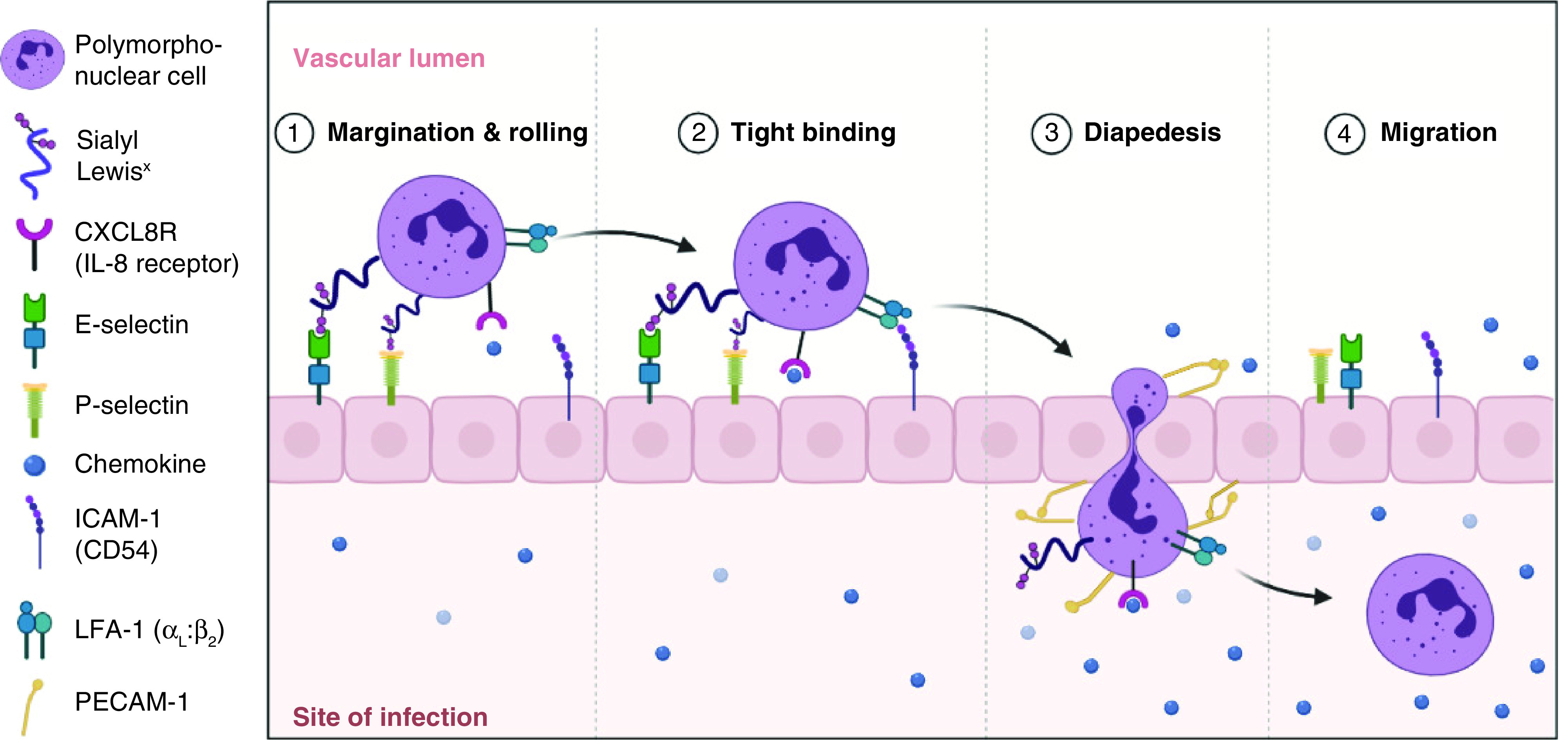 Figure 1. 