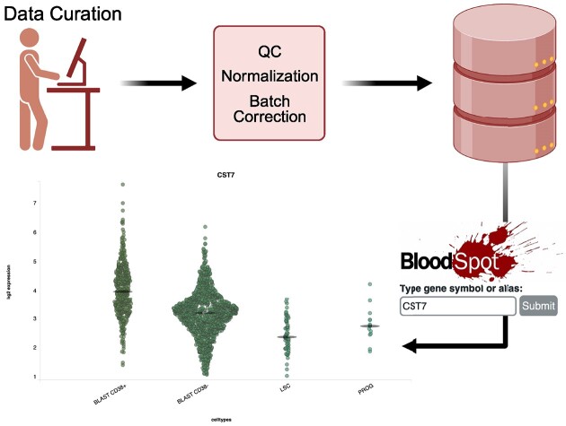 Graphical Abstract