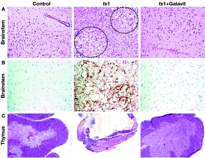 FIG. 6.