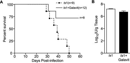 FIG. 10.