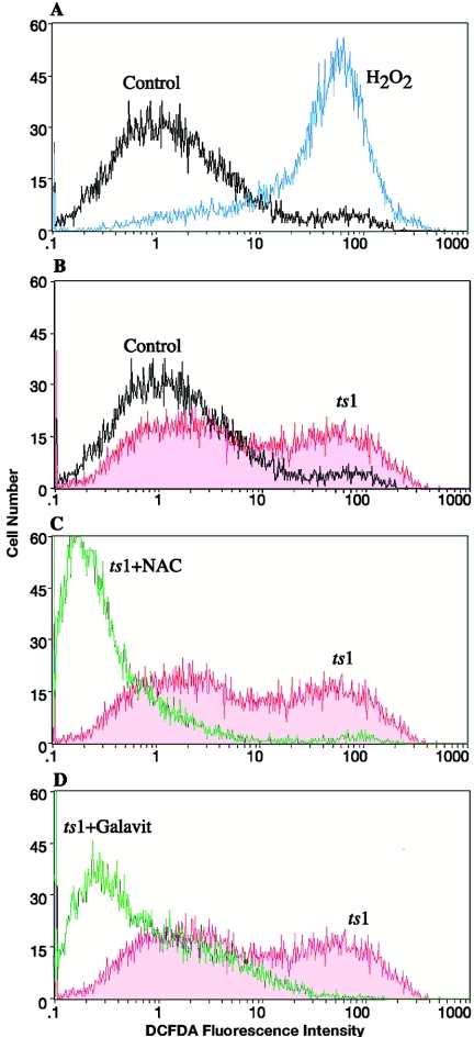 FIG. 2.