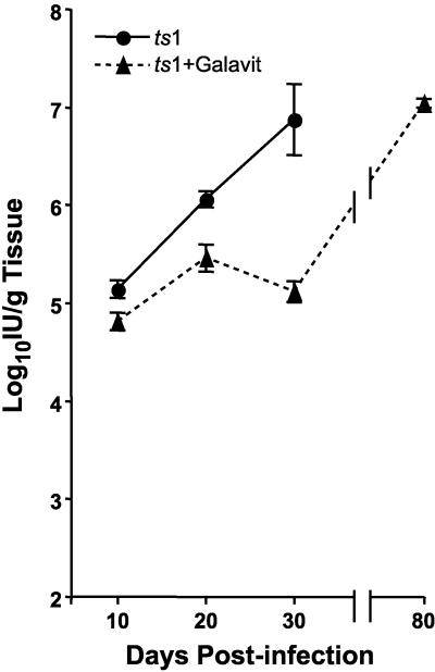 FIG. 11.