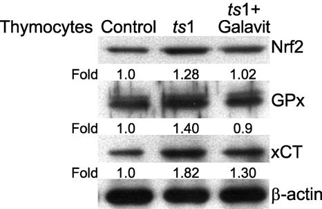 FIG. 8.