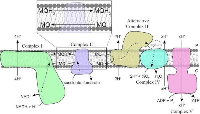 Figure 6.