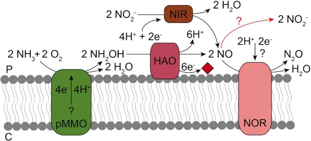 Figure 5.