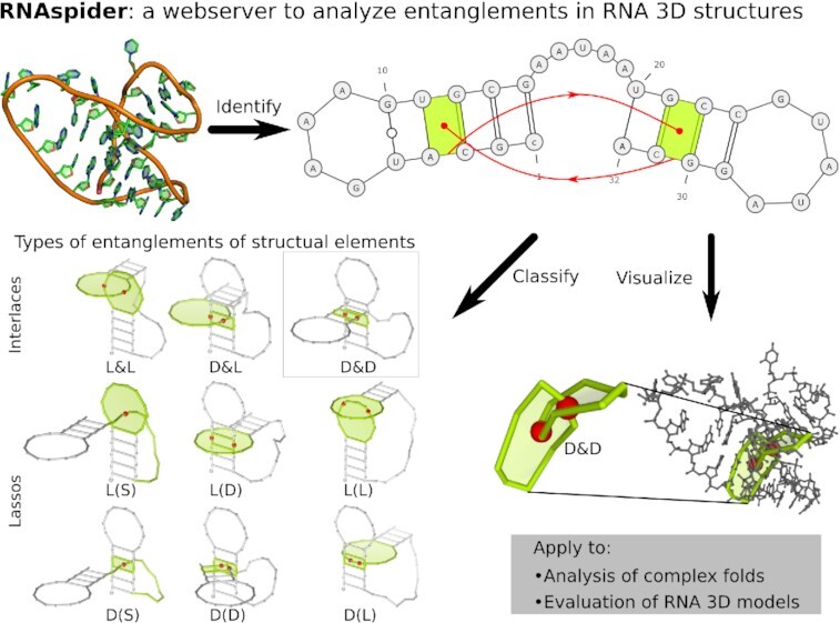 Graphical Abstract