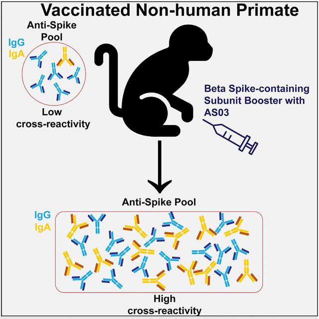 graphic file with name nihms-2011704-f0001.jpg