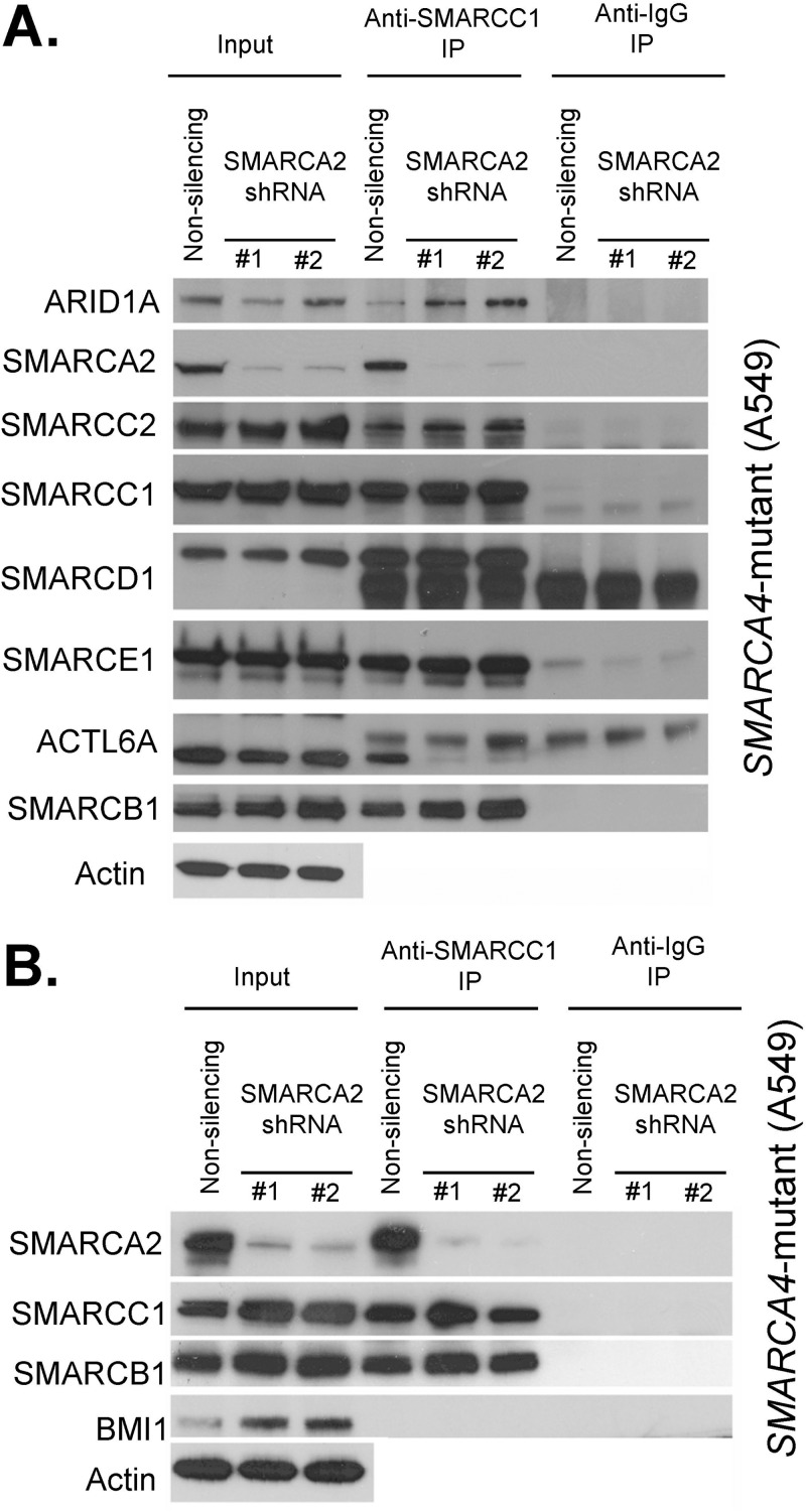 FIG 3