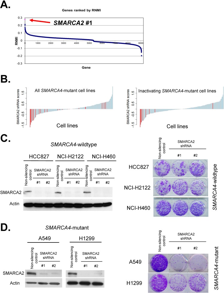 FIG 2