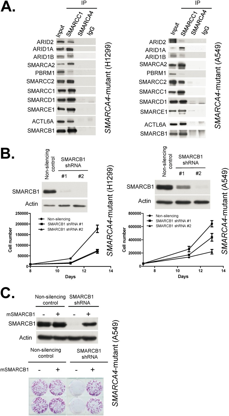 FIG 1