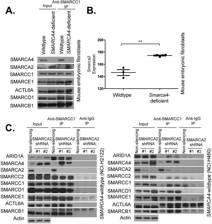 FIG 4