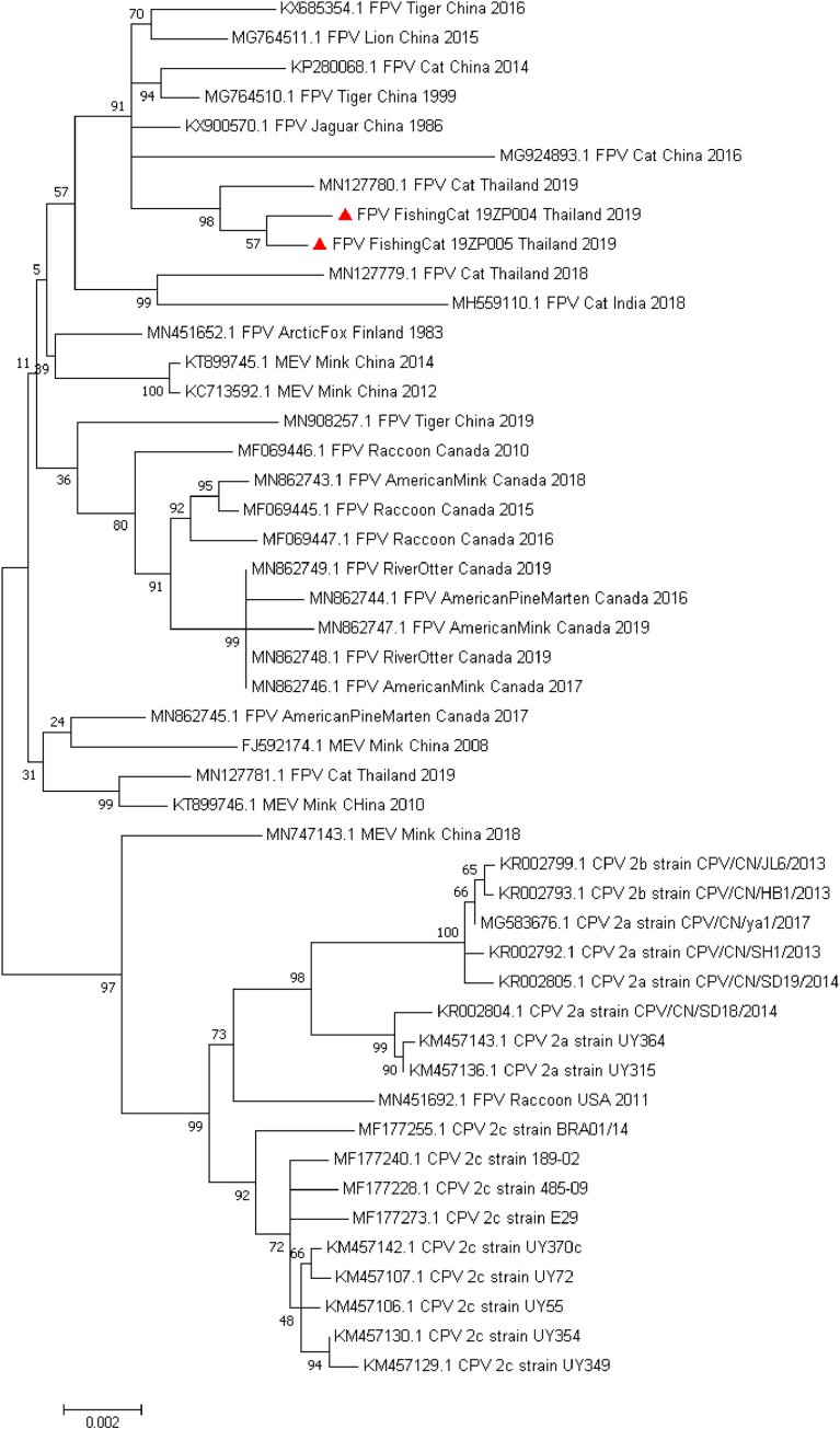 Fig 4