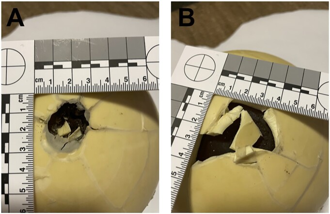 Fig. 4.