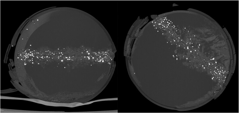 Fig. 8.