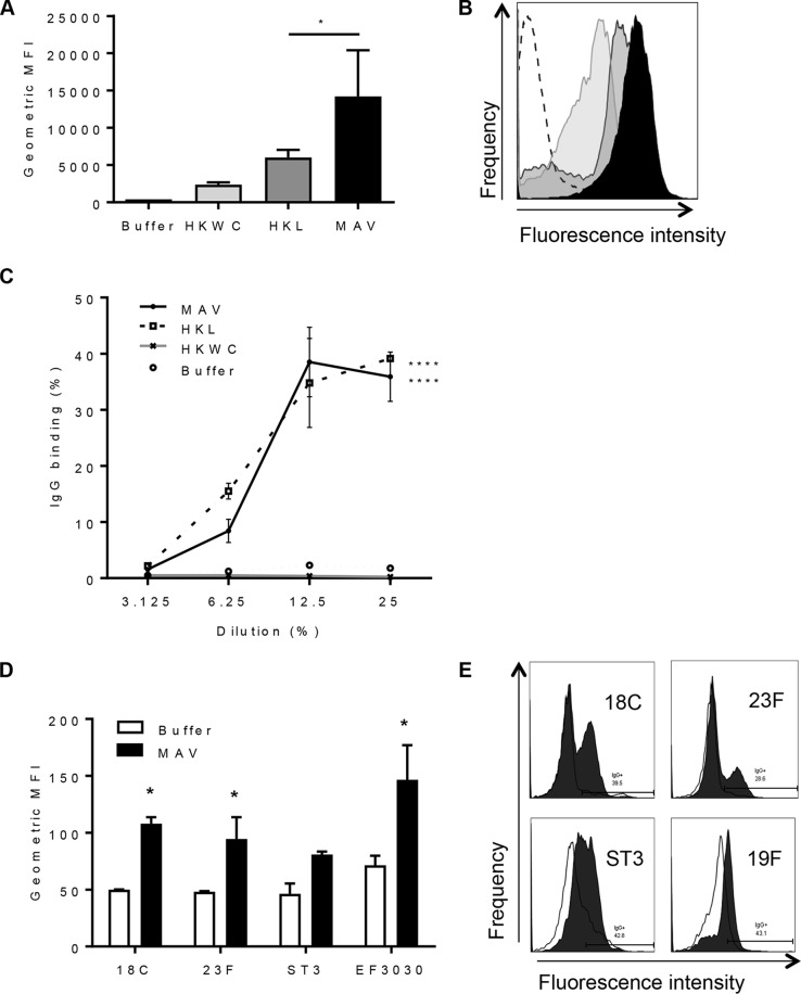 FIG 3