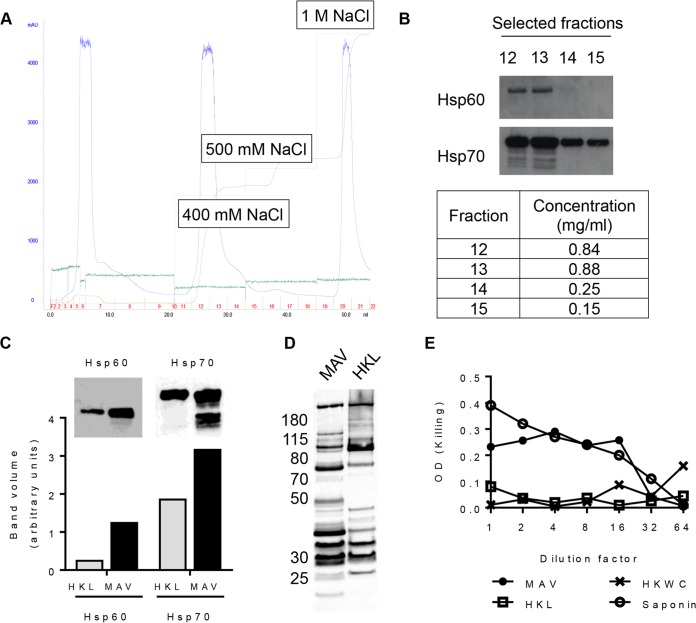 FIG 1