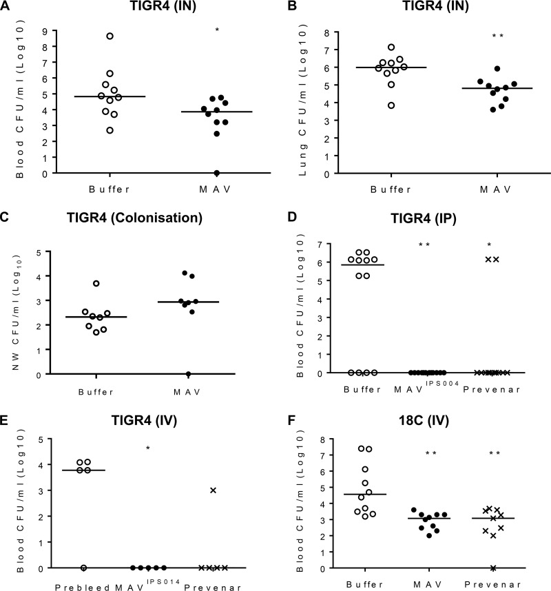 FIG 6