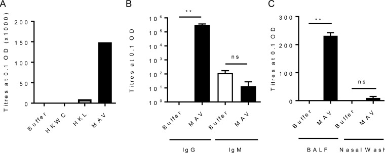 FIG 2