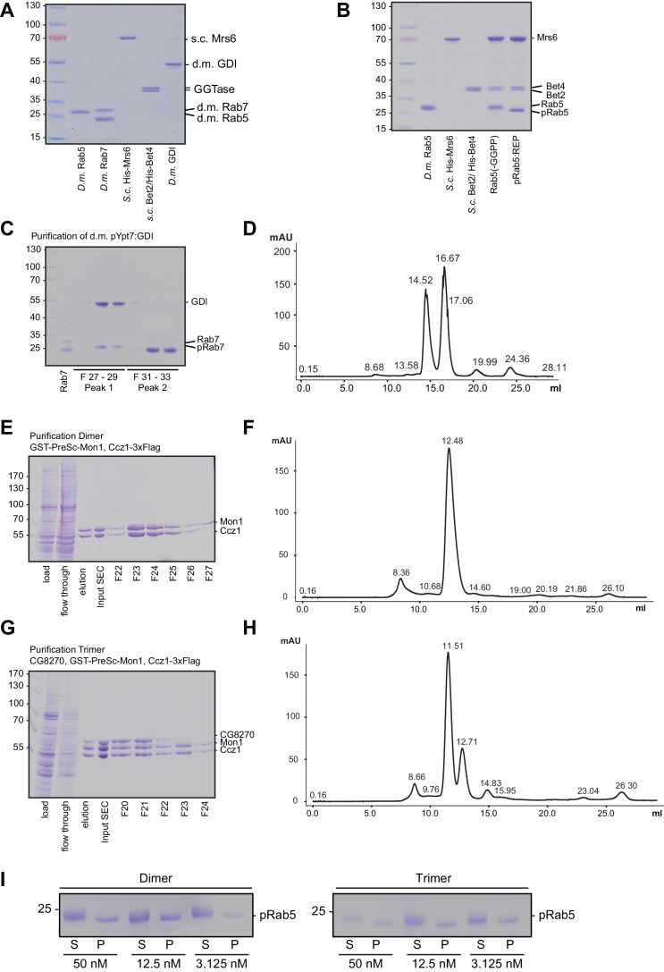 Figure 4—figure supplement 1.