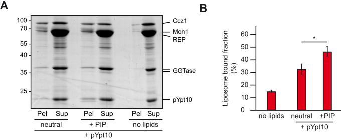 Figure 2—figure supplement 1.