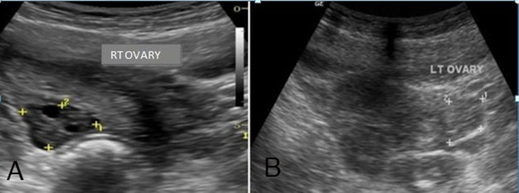 Fig. 5